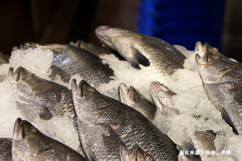 巴布亞新幾內亞到廣州鱸魚進口報關流程冷凍魚案例