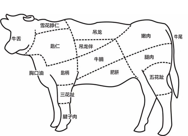 冷凍牛肉進(jìn)口報(bào)關(guān)