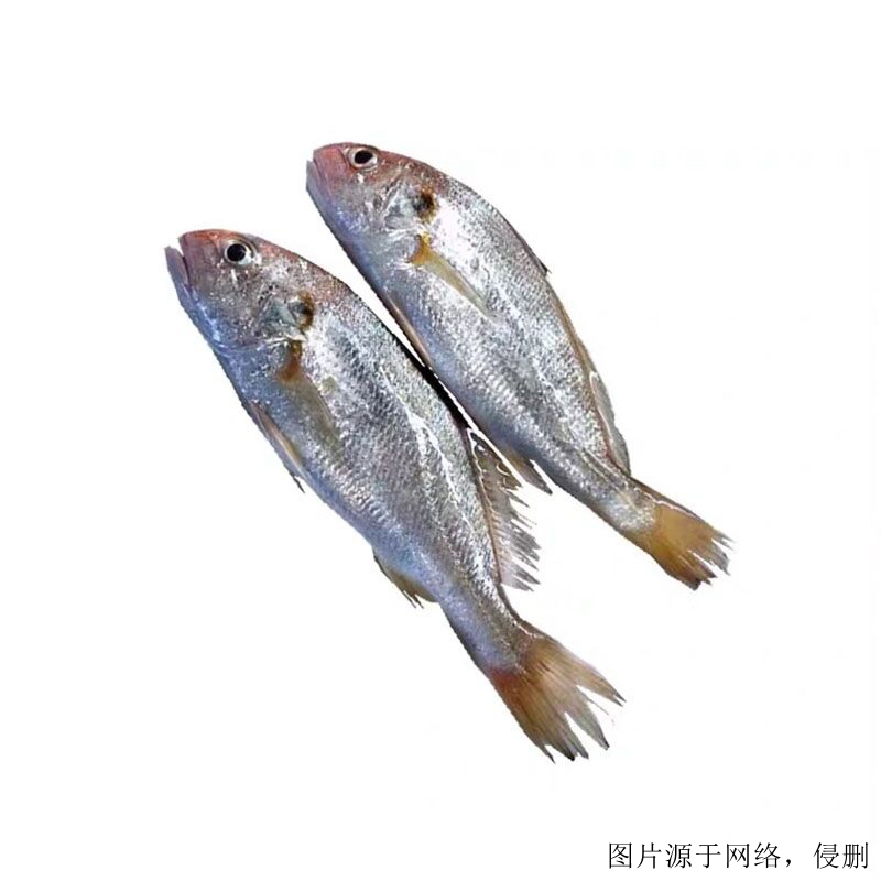 越南白姑魚(yú)進(jìn)口清關(guān)流程