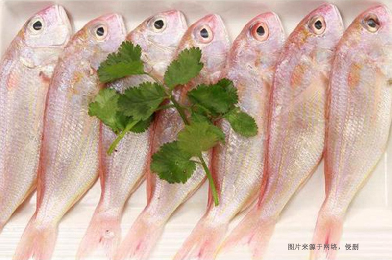 越南冷凍魚(yú)進(jìn)口清關(guān)流程